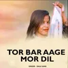 About Tor Bar Aage Mor Dil Song